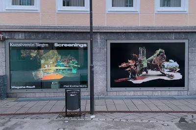 Installationsansicht: Flat Extractions,
Videoinstallation, UV-Druck auf Polymerfolie